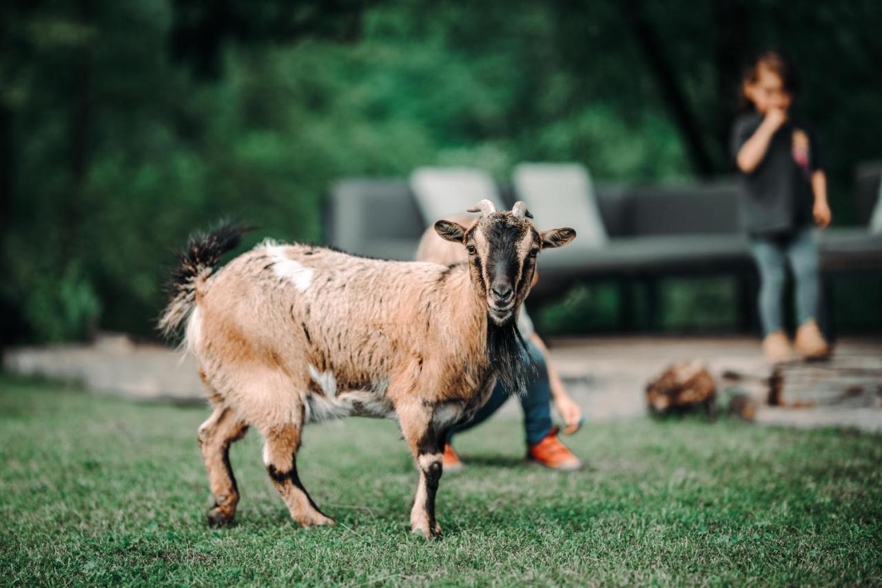 Goat'S Paradise Bohinj Exterior foto